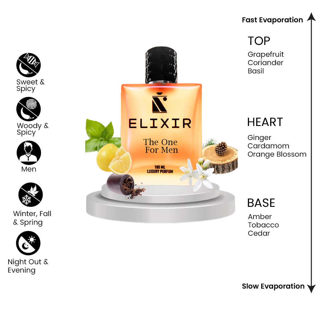 Elixir Of THE ONE FOR MEN by Đolce & ₲abbana